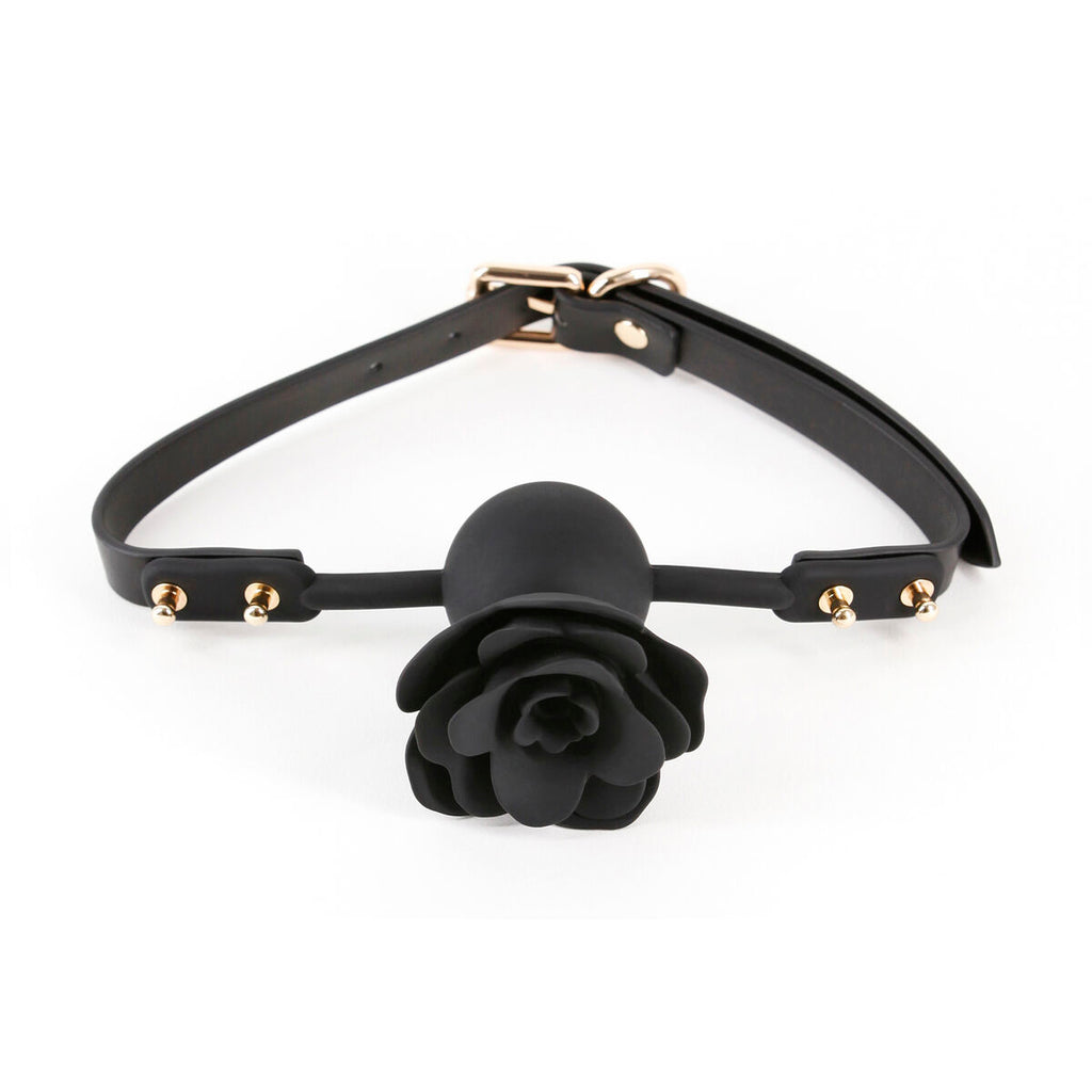 V5H8E91059F8FF027C1286A80DFCFE45EAFR5116636P1