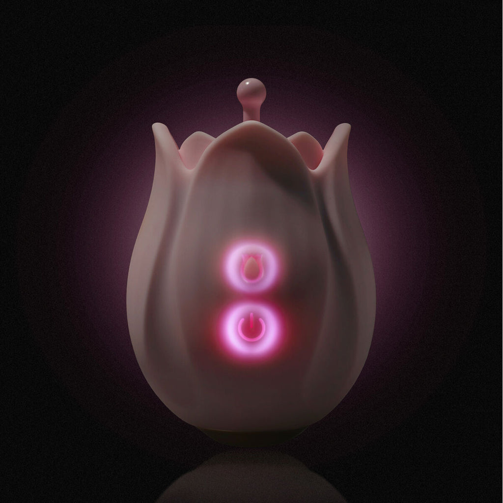 V4HA028E20E2EE1BFA89E0B193B262D38F8R5584141P8