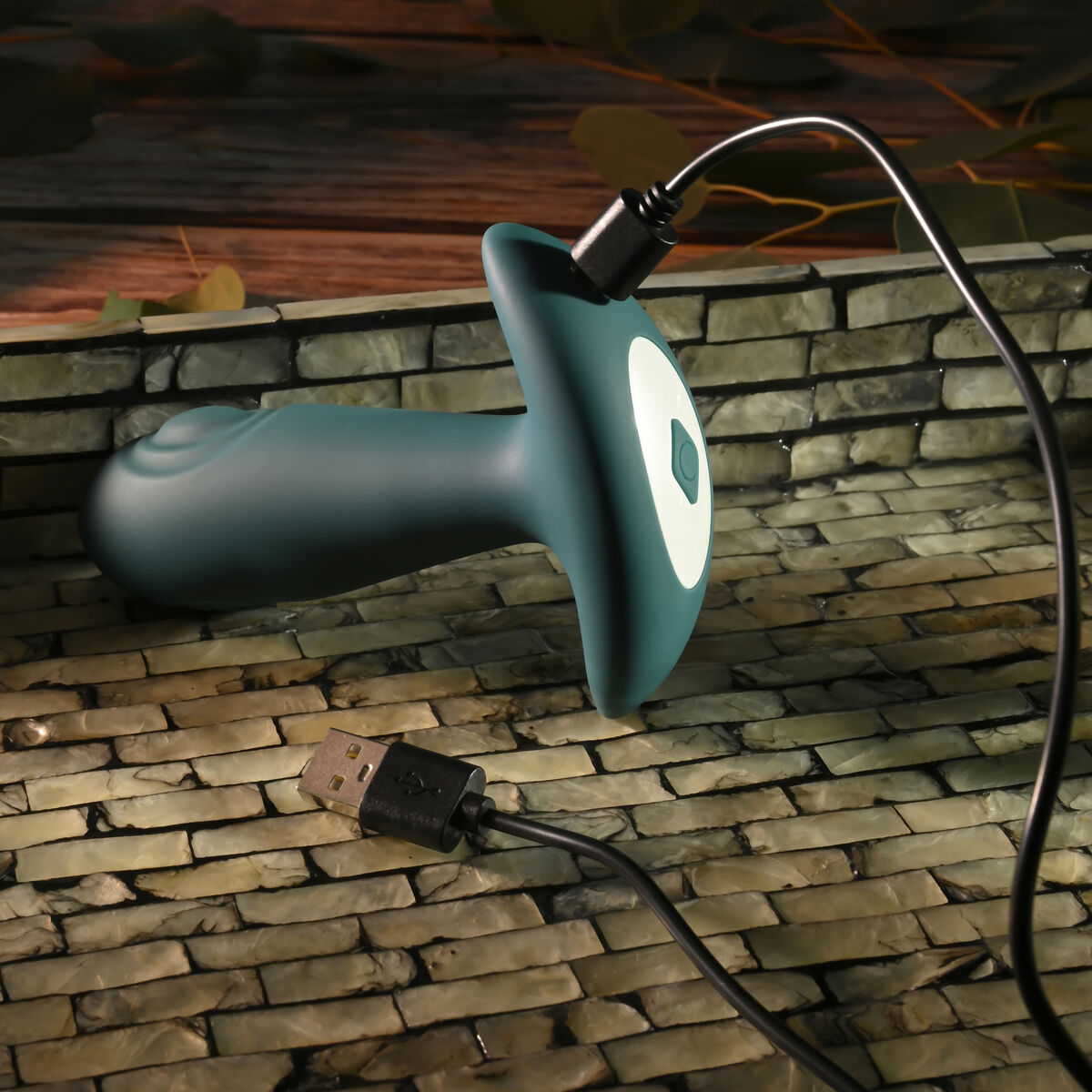 V5H1847A01018AEBECE75EAA5895EA721A5R4901481P6