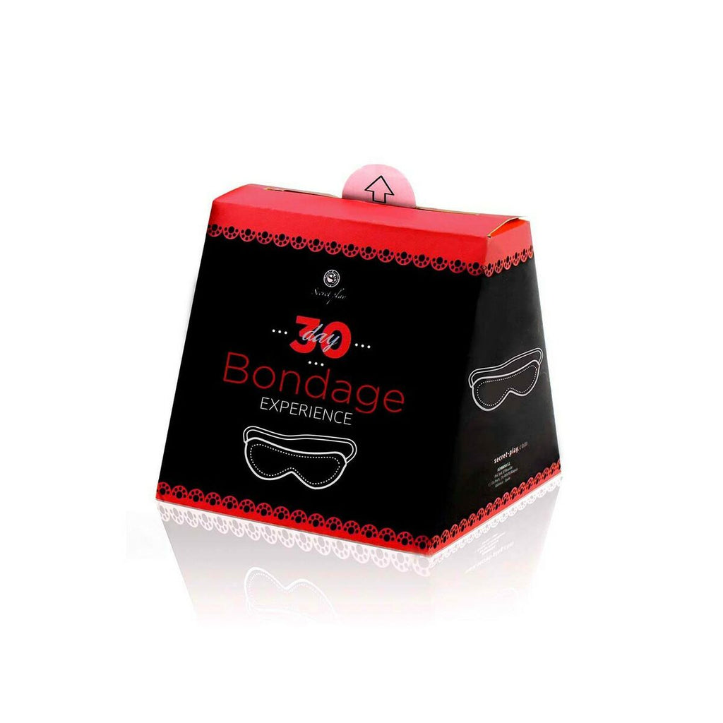 V5HED7A4947243147539A8ED4EFE141AC62R4678198P1