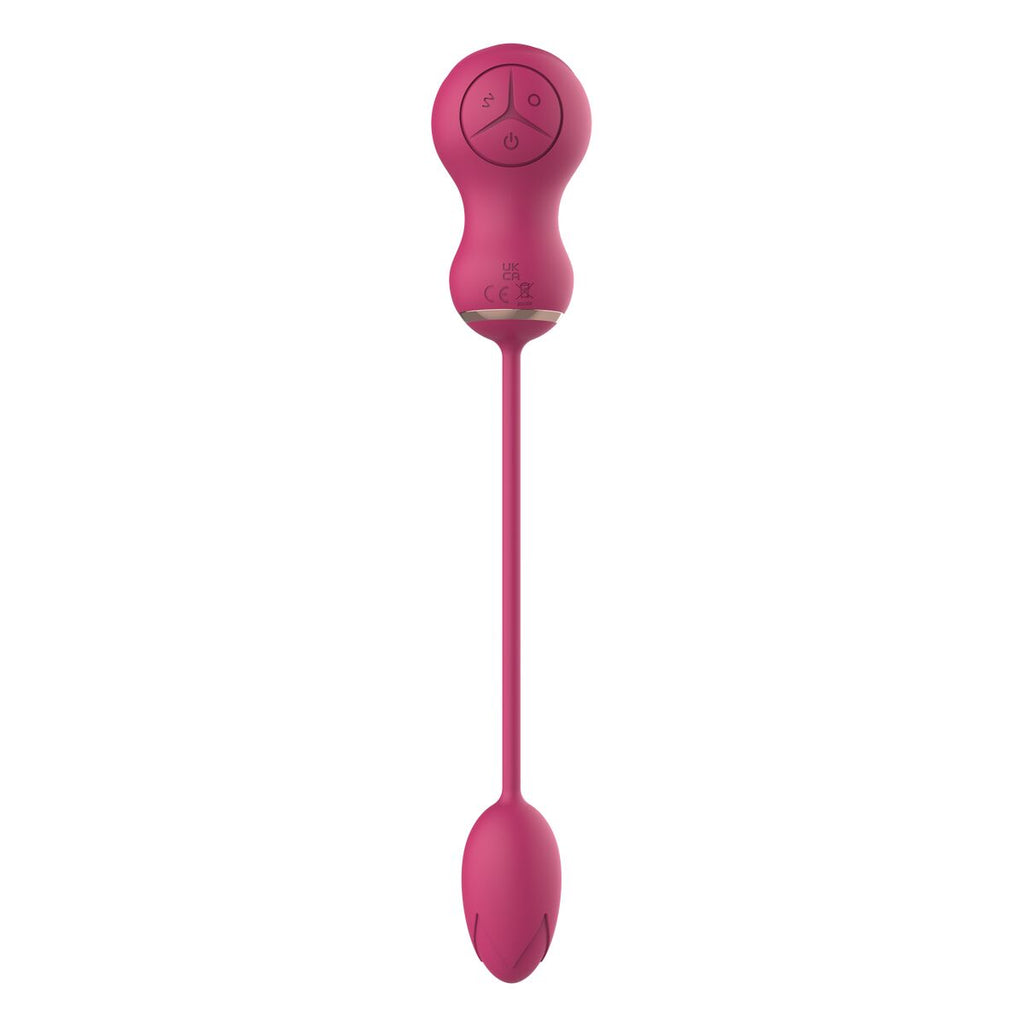 V5HAFE43786855D3F08C437B72B88CAA44ER4916100P6