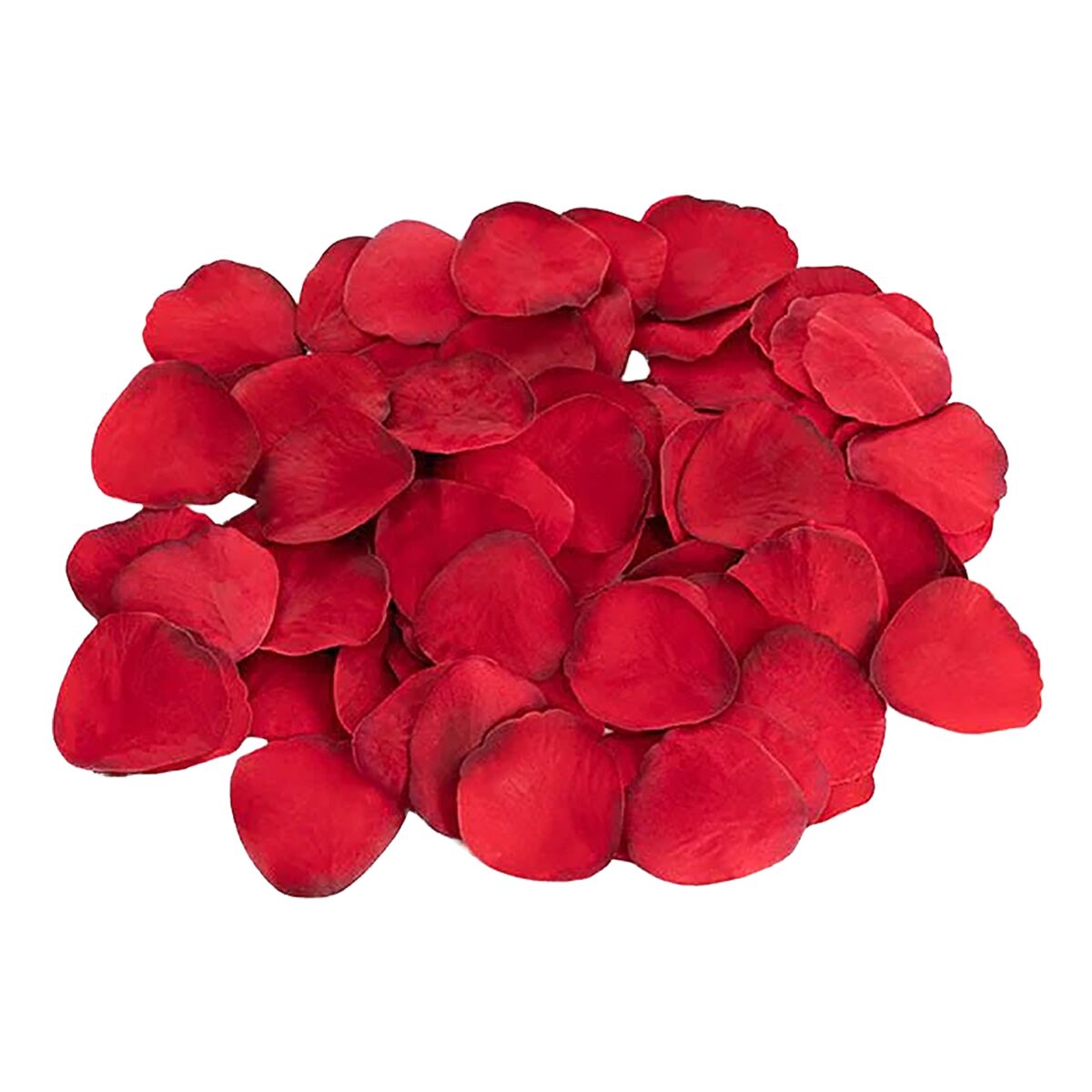 V4HD58FFABDD12311943295766481D20C2FR5547476P3